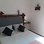 Ana-1 By Interhome Vir