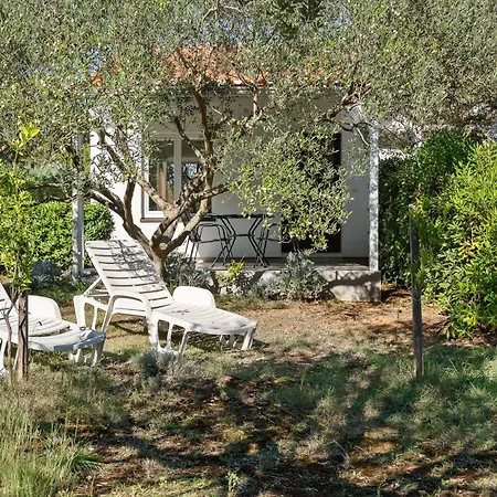 Casa de Férias Ana-1 By Interhome *